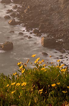 big sur