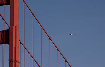 golden gate bridge