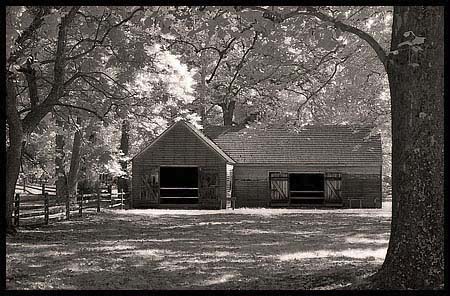 022-101008_8311-batsto-ir