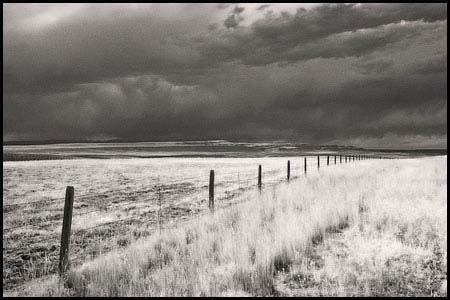 053-070809-7239-ir-rt310