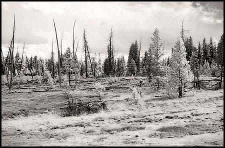 065-070809-7428-ir-wthumb