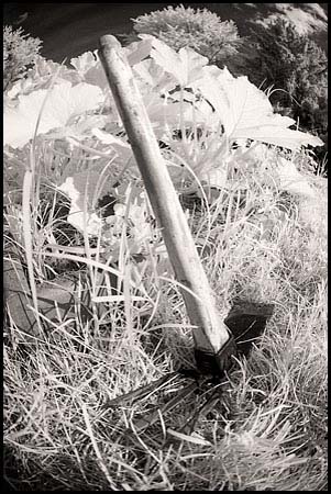 070630_6674-mattock