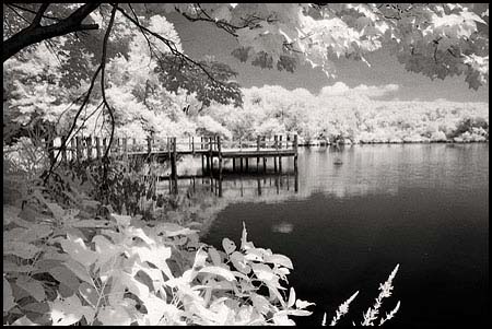 070717_6842-pond