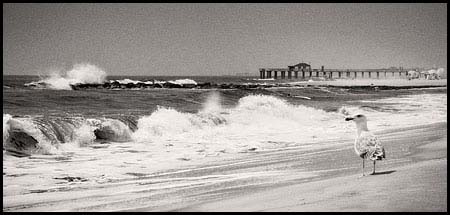 070719_6943-asburypkbeach