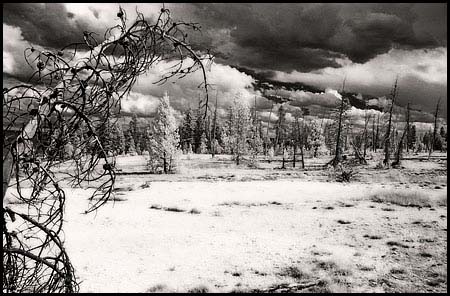 070809-7431-ir-wthumb