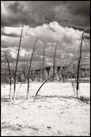 070809-7433-ir-wthumb