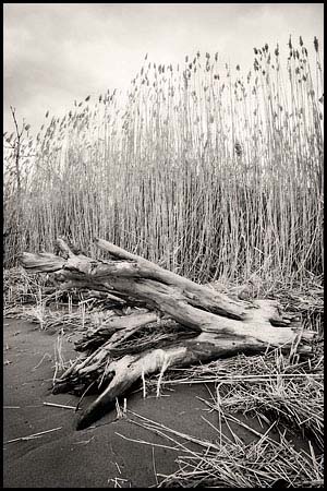 080207_7990-delaware_bay