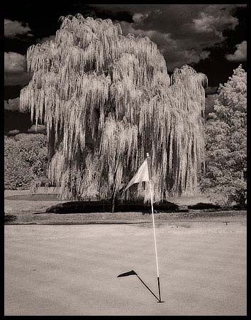 080911_8162-golfcourse_ir