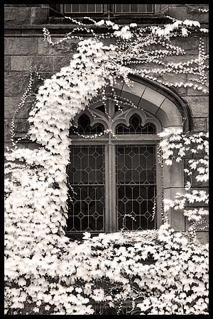 091308_8202-princeton