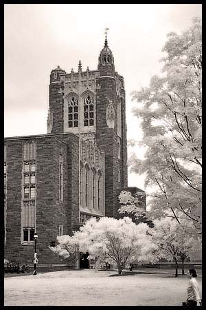 091308_8207-princeton