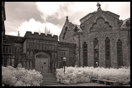 091308_8209-princeton
