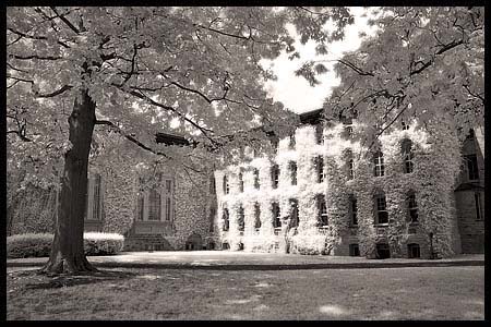 091308_8213-princeton