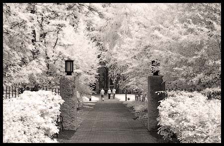 091308_8231-princeton