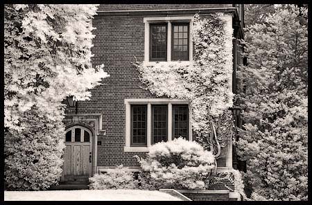 091308_8232-princeton