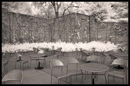 091308_8233-princeton
