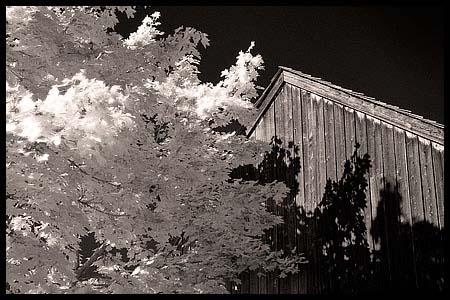101008_8310-batsto-ir