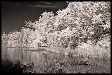 101008_8317-batsto-ir