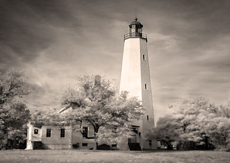 sandyhook-3528