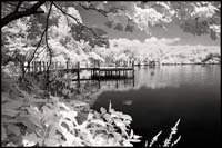 070717_6842-pond