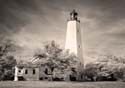 sandyhook-3528