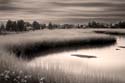 sandyhook-3541