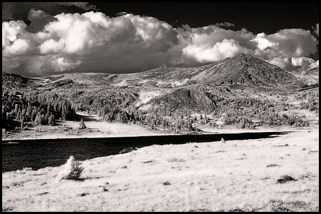 070809-7302-ir-beartoo0010