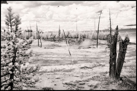 070809-7426-ir-wthumb