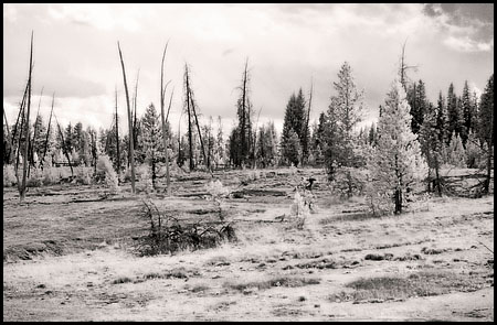 070809-7428-ir-wthumb