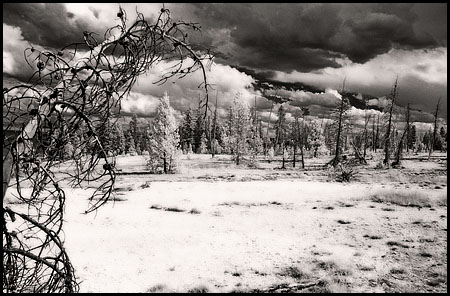 070809-7431-ir-wthumb