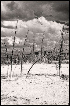070809-7433-ir-wthumb