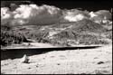 070809-7302-ir-beartoo0010