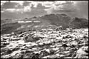 070809-7308-ir-beartoo0011