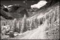 070809-7325-ir-beartoo0013