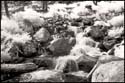070809-7337-ir-beartoo0014