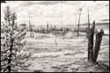 070809-7426-ir-wthumb