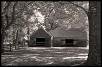 083-101008_8311-batsto-ir